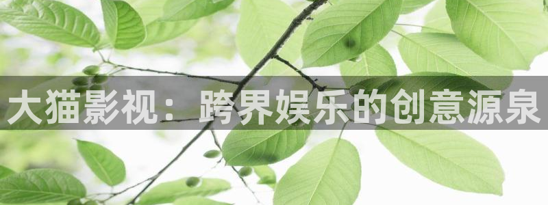 555电影网红桃