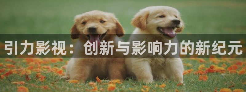 神马影院红桃影视：引力影视：创新与影响力的新纪元