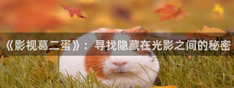 www.红桃视频.com：《影视葛二蛋》：寻找隐藏在光影之间的秘密