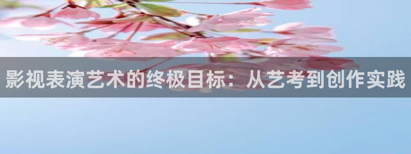 红桃成人影院：影视表演艺术的终极目标：从艺考到创作实践