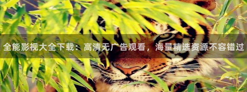 红桃影视在线观看：全能影视大全下载：高清无广告观看，海量精选资源不容错过